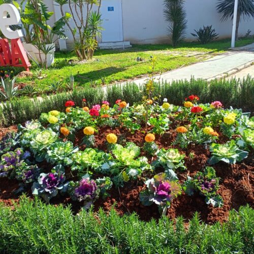 Aménagement des espaces verts garden city